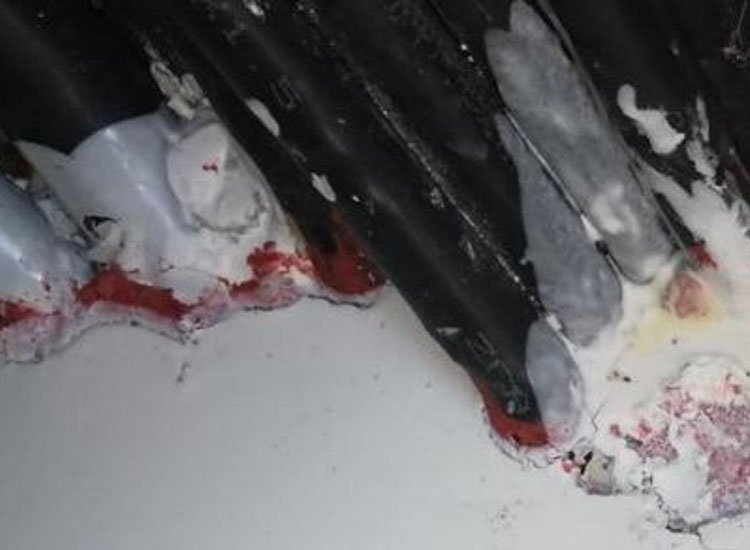 firestop putty sealing